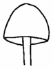 Hut glockig (G. Steinbeisser).png