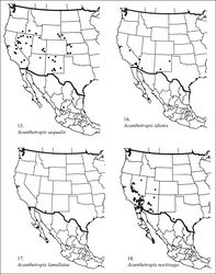 Figures 15–18. Distribution maps.