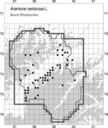 Verbreitungskarte von Anemone nemorosa L.