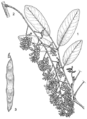 Thumbnail for version as of 21:21, 17 January 2015