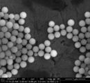 MCM-48 Mesoporous Silica Nanoparticles (1).jpg