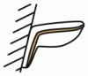 P28 Fruchtkörper teilweise dem Substrat flach anliegend teilweise abstehend (M. Piepenbring).png