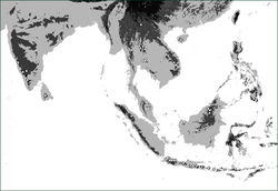 Map 1. Distribution of Oleandra coriacea (triangles), Oleandra musifolia (circles).