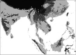 Map 2. Distribution of Oleandra cumingii (squares), Oleandra undulata (triangles), Oleandra wallichii (circles).