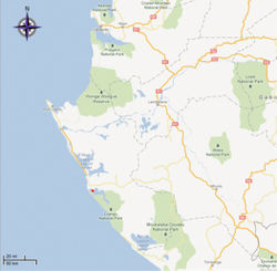 Figure 2. Map of locality for Costus loangensis. The red dot represents the type locality.