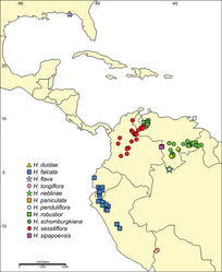 Figure 1. Distribution of Harperocallis.