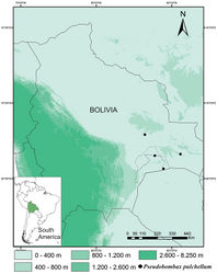 Figure 3. Distribution of Pseudobombax pulchellum Carv.-Sobr. in Santa Cruz, Bolivia. Dashed lines indicate the boundaries of the Kaa-Iya del Gran Chaco National Park.