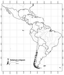 Figure 29. Distribution of Solanum crispum Ruiz & Pav.