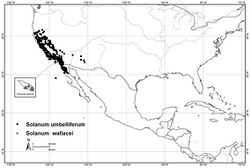 Figure 100. Distribution of Solanum umbelliferum Eschsch. and Solanum wallacei (A. Gray) Parish (inset)