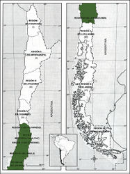 Figure 2. Native distribution of Piptochaetium fuscum. Information and base map from Zuloaga et al. (2008) Zuloaga F, Morrone O, Belgrano M (Eds) (2008) Catálogo de las plantas vasculares del Cono Sur. Vol. 1. Missouri Botanical Garden Press, St. Louis, Missoui, U.S.A., used with permission of Missouri Botanical Garden Press.