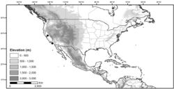 Figure 44. Distribution of Solanumretroflexum Dunal (specimens mapped are both cultivated and adventive).