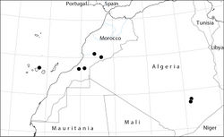 Figure 6. Worldwide distribution of Abutilon albidum (historical and current records).