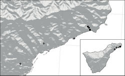 Figure 7. Old (black cross) and recent (black bullet) distribution of Abutilon albidum in Tenerife, Canary Islands, Spain.