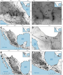 Figure 8. Map of known geographic distribution of Agrostis species, based on herbarium specimen data AA. bourgaeiBA. calderoniaeCA. capillarisDA. elliottianaEA. exarataFA. ghiesbreghtii.