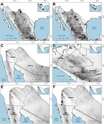 Figure 18. Map of known geographic distribution of Agrostis species, based on herbarium specimen data AA. giganteaBA. hyemalisCA. idahoensisDA. laxissimaEA. microphyllaFA. pallens.