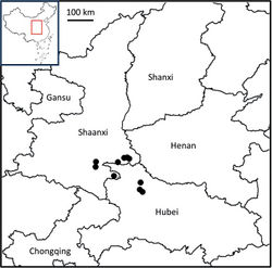 Figure 2. Distribution of Lagerstroemia stenophylla.