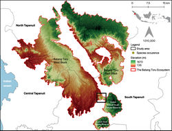 Figure 2. Distribution map of Lithocarpus tapanuliensis sp. nov. in South Tapanuli, North Sumatra. The inset map shows the location of the sampling region on Sumatra Island, Indonesia. Elevation was obtained from SRTM (2023)[6]. Map by T.S. Harapan.