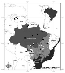 Figure 10. Distribution map of Neotropical Murdannia Royle. Full circles Murdannia burchellii Full stars Murdannia engelsii Triangles Murdannia gardneri Stars Murdannia paraguayensis Full squares Murdannia schomburgkiana Squares Murdannia semifoliata.