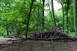 Plänterwald an der Spree – Sarah 3124, CC-BY-SA 4.0
