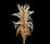 Blüte des Spitzwegerichs Plantago lanceolata