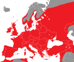 Verbreitung der Türkentaube in Europa - Alice Chodura (CC-BY-SA-3.0)