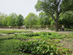 Treptower Park  – Another Believer, CC BY-SA 4.0