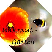 Unkrautgarten UFG 2 Worte P dubium Hummel hell IMG 8415 Wohlers.jpg