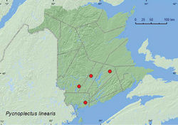 Map 4. Collection localities in New Brunswick, Canada of Pycnoplectus linearis.