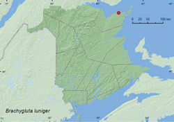 Map 14. Collection localities in New Brunswick, Canada of Brachygluta luniger.