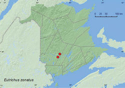 Map 16. Collection localities in New Brunswick, Canada of Eutrichites zonatus.