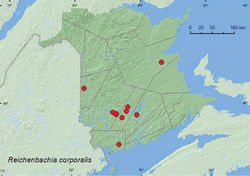 Map 17. Collection localities in New Brunswick, Canada of Reichenbachia corporalis.