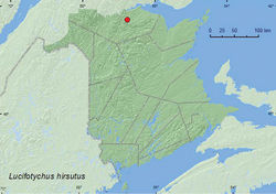 Map 19. Collection localities in New Brunswick, Canada of Lucifotychus hirsutus.