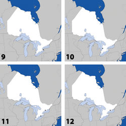 Maps 9–12. Distribution in Ontario of: 9. Platandria carolinae Gyllenhal 10. Amarochara brevios Assing 11 Amarochara fenyesi Blatchley 12 Crataraea suturalis (Mannerheim).