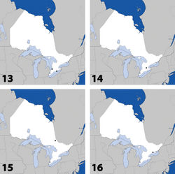 Maps 13–16. Distribution in Ontario of: 13 Dexiogyia angustiventris (Casey) 14 Ilyobates bennetti Donisthorpe 15 Ocyusa canadensis Lohse 16 Oxypoda rubescens Casey.