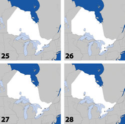 Maps 25–28. Distribution in Ontario of: 25 Eumicrota corruscula (Erichson) 26 Eumicrota socia (Erichson) 27 Euvira micmac Klimaszewski & Majka 28 Gyrophaena affinis Mannerheim.