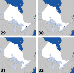 Maps 29–32. Distribution in Ontario of: 29 Gyrophaena antennalis Casey 30 Gyrophaena brevicollis Seevers 31 Gyrophaena caseyi Seevers 32 Gyrophaena criddlei Casey.