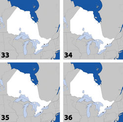 Maps 33–36. Distribution in Ontario of: 33 Gyrophaena dybasi Seevers 34 Gyrophaena fuscicollis Casey 35 Gyrophaena gilvicollis Casey 36 Gyrophaena meduxnekeagensis Klimaszewski and Webster.