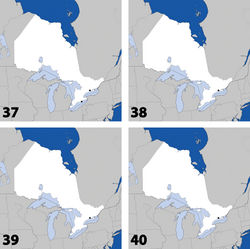 Maps 37–40. Distribution in Ontario of: 37 Gyrophaena modesta Casey 38 Gyrophaena neonana Seevers 39 Gyrophaena stroheckeri Seevers 40 Gyrophaena uteana Casey.