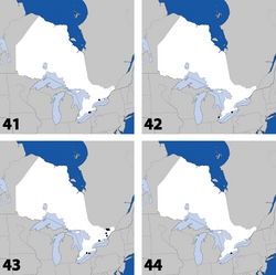 Maps 41–44. Distribution in Ontario of: 41 Leptusa carolinensis Pace 42 Phanerota fasciata (Say) 43 Phymatura blanchardi (Casey) 44 Thecturota pusio (Casey).