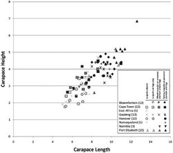 Figure 50. Carapace height plotted against carapace length for adult female Gandanameno specimens from eight regions: Bloemfontein, Cape Town, Gauteng, Hanover, Namaqualand, Namibia, and Port Elizabeth. Regions circumscribed in Fig. 49; sample size given in parentheses. Symbol shape indicates region while symbol darkness indicates presence and strength of cuspules. Specimens were scored as having cuspules absent, having medium to strong cuspules only on the legs, having a mixture of medium and strong cuspules on the prosoma, sternum, and/or legs, and having exclusively strong cuspules on the prosoma, sternum, and legs. As reflected in the legend, not all degrees of spinulation were observed in all regions.