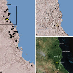 Figure 19. Distribution of Austrarchaea thompsoni sp. n.: A, topographic map showing the known distrib ution of Archaeidae in the north-eastern Queensland Wet Tropics bioregion, with collection localities for Austrarchaea thompsoni highlighted in yellow; B–C, topographic and satellite maps showing detail of inset (A). Labelled boundaries in (B) denote upland subregional zones of faunal endemism identified by Winter et al. (1984), Williams et al. (1996) and other authors for the northern Wet Tropics (modified from Edward 2011). Small squares in (B–C) denote unidentified juvenile specimens; small circles denote unidentified female specimens; large circles denote described species of Austrarchaea. BM = Black Mountain Corridor; CU = Carbine Uplands; FU = Mt Finnigan Uplands; TU = Thornton Uplands; WU = Windsor Uplands.