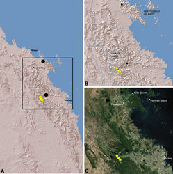 Figure 24. Distribution of Austrarchaea griswoldi sp. n.: A, topographic map showing the known distribution of Archaeidae in the north-eastern Queensland Mackay and Whitsundays Hinterland, with collection localities for Austrarchaea griswoldi highlighted in yellow; B–C, topographic and satellite maps showing detail of inset (A). Small circles in (B–C) denote unidentified female specimens; large circles denote described species of Austrarchaea.