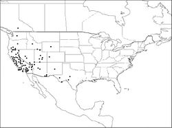 Figure 9. Distribution of Megachile coquilletti.