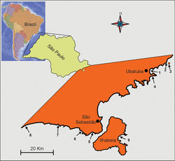 Figure 1. Localities along the cost of the State of São Paulo (Brazil) where Pseudostomella dolichopoda sp. n. was found. 1 praia Grande 2 praia Prumirim 3 Ilha do Prumirim 4 praia do Tenório (Ubatuba district) 5 praia de Guaecá 6 praia de Santiago 7 praia do Saí 8 praia Preta e Conchas(São Sebastião district) 9 praia de Castelhanos (Ilhabela island). For geographic coordinates and characteristics of the microhabitat see Todaro and Rocha (2004)[1].