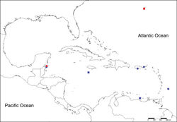 Figure 1. Localities from material reviewed. Circles: Notopygos caribea sp. n., squares: Notopygos megalops, red: type material, blue: additional material.