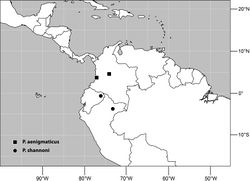 Figure 5. Distribution of Planinasus aenigmaticus sp. n. (squares) and Planinasus shannoni (Malloch) (dots).