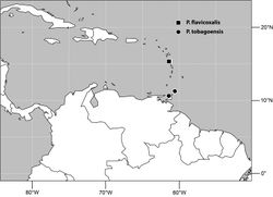 Figure 43. Distribution of Planinasus tobagoensis sp. n. (dots) and Planinasus flavicoxalis sp. n. (square).
