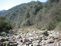 Figure 27. Harutaeographa shui,type locality, China, Sichuan near Siping.