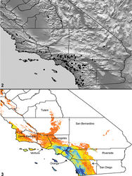 Maps 2, 3. Aptostichus atomarius Simon, 1891. 2 distribution of known specimens 3 predicted distribution; cooler colors–blue shades–represent areas of high probability of occurrence, warmer colors–yellow and orange shades–represent areas of low probability of occurrence.