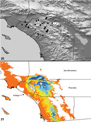 Map 20, 21. Aptostichus hesperus Chamberlin, 1919. 20 distribution of known specimens 21 predicted distribution; cooler colors–blue shades–represent areas of high probability of occurrence, warmer colors–yellow and orange shades–represent areas of low probability of occurrence.